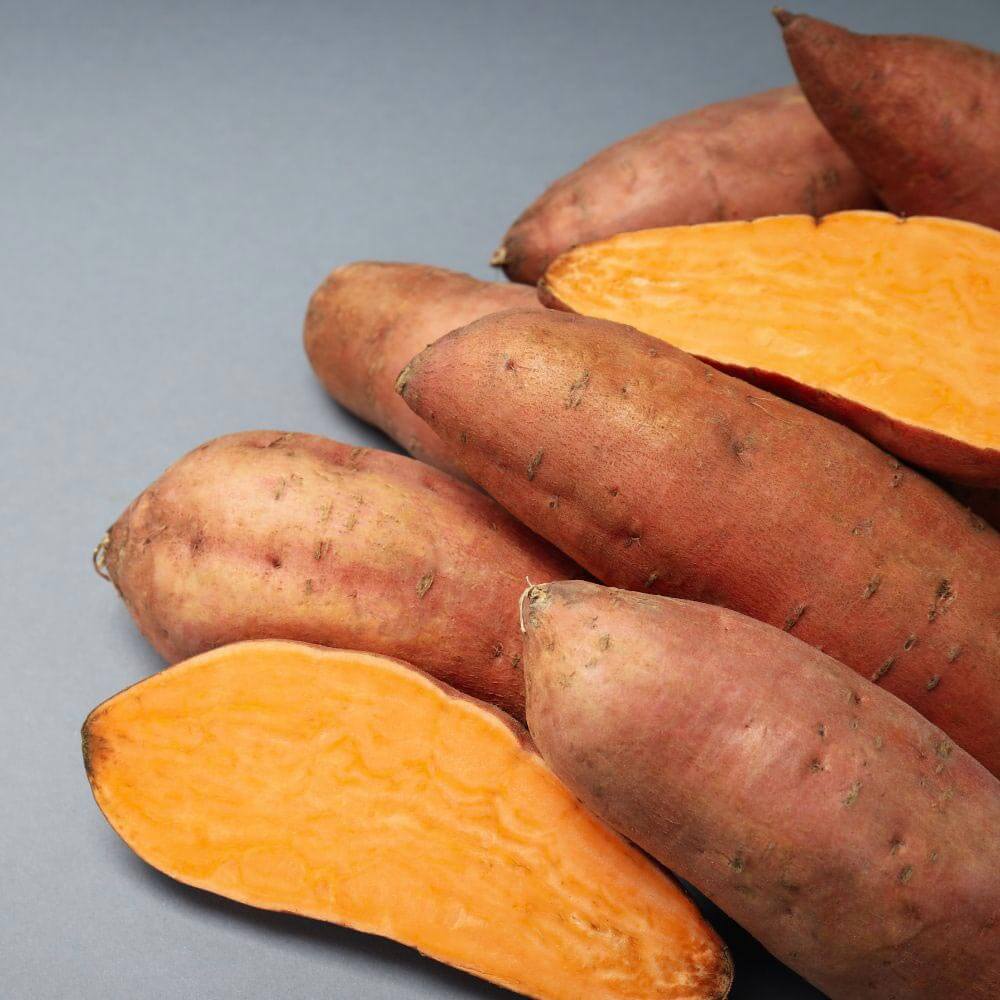 Deep Orange Sweet Potato Seeds - Vegetable Plant