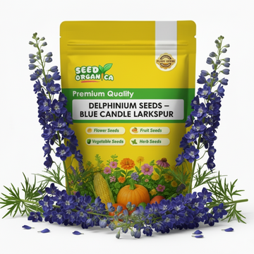 Delphinium Seeds – Blue Candle Larkspur