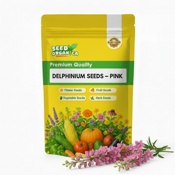 Delphinium Seeds – Pink