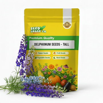 Delphinium Seeds – Tall