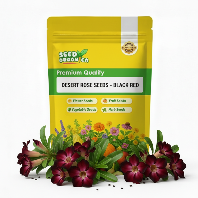 Desert Rose Seeds - Black Red