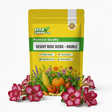 Desert Rose Seeds – Double