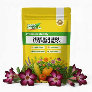 Desert Rose Seeds – Rare Purple Black