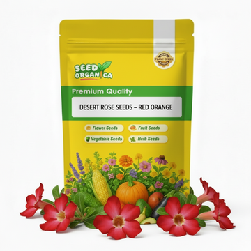 Desert Rose Seeds – Red Orange