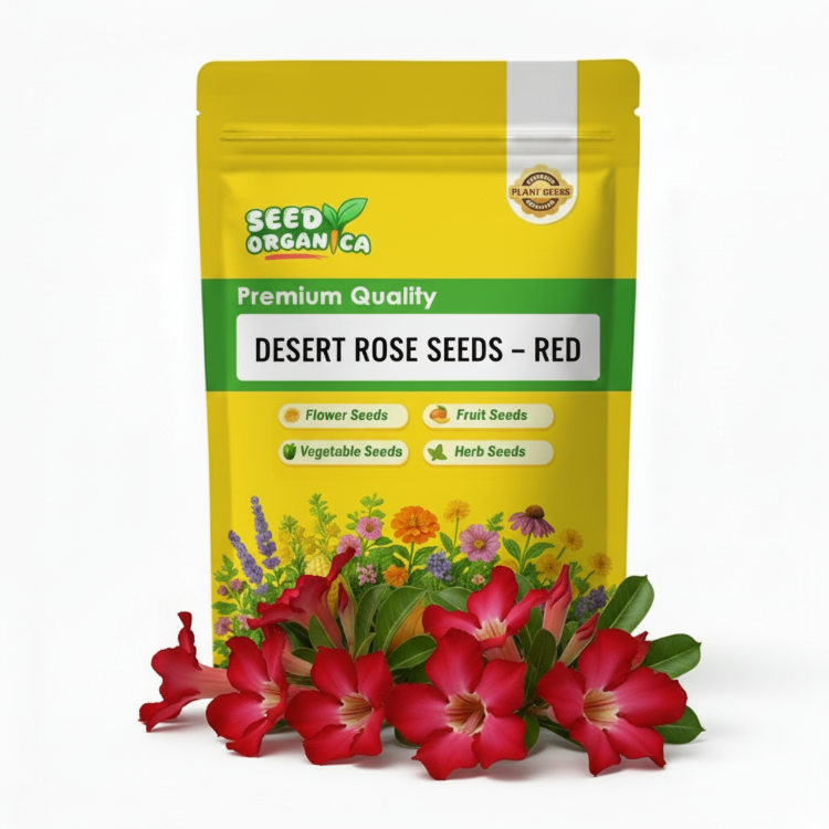 Desert Rose Seeds – Red