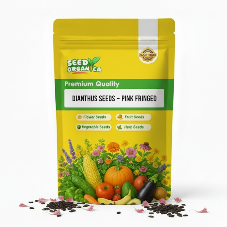 Dianthus Seeds – Pink Fringed