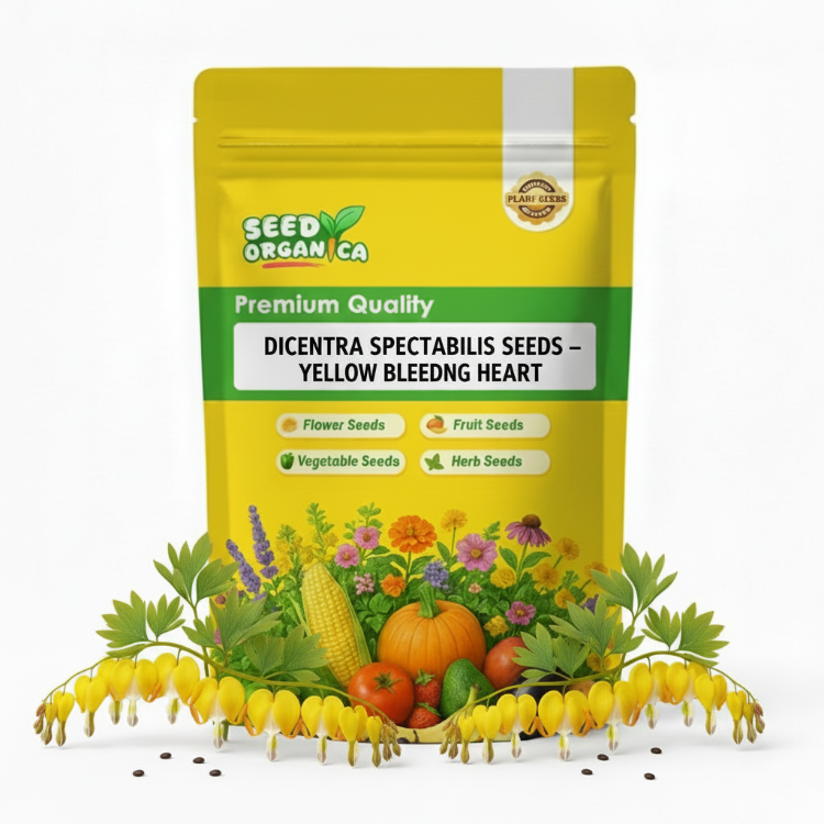 Dicentra Spectabilis Seeds – Yellow Bleeding Heart