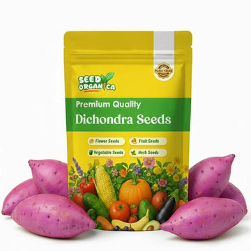 Dichondra Seeds – Sweet Potato Pink
