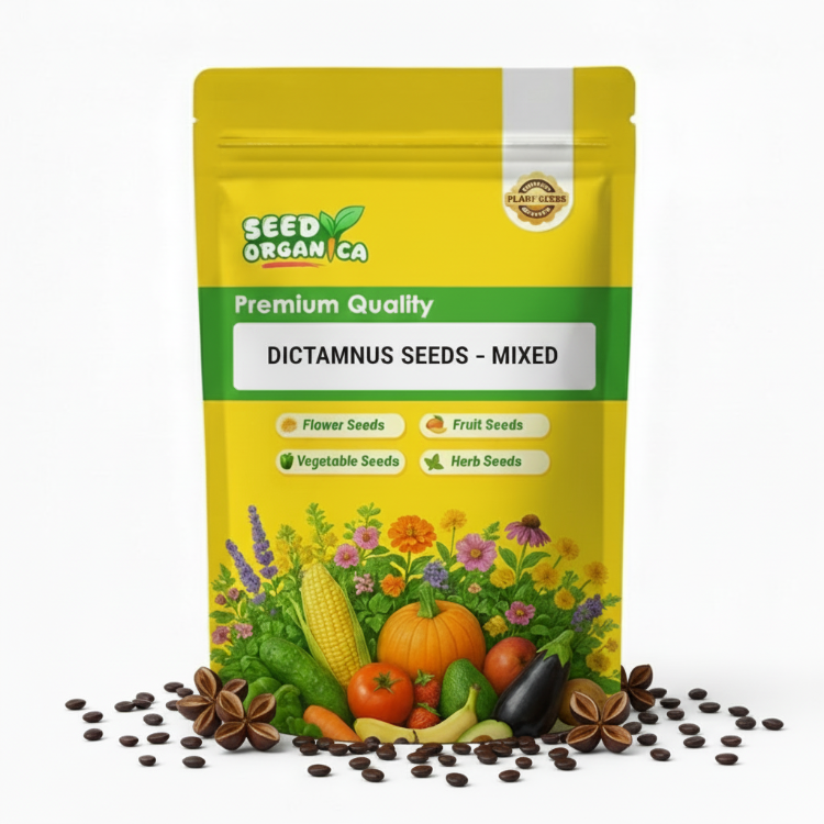 Dictamnus Seeds – Mixed