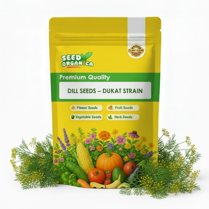 Dill Seeds – Dukat Strain