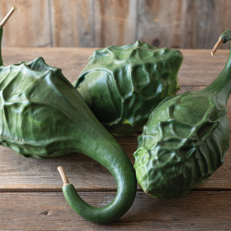 Dinosaur Gourd Seeds – Heirloom
