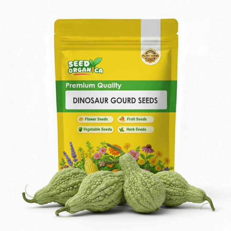 Dinosaur Gourd Seeds