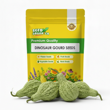 Dinosaur Gourd Seeds