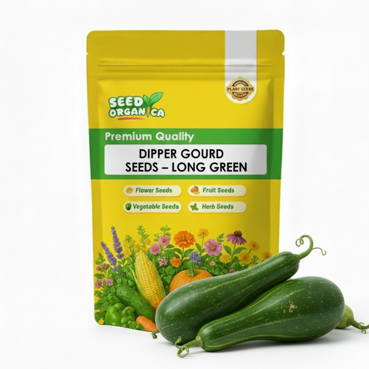 Long Green Dipper Gourd Seeds | Gourd Vegetable Garden Seeds