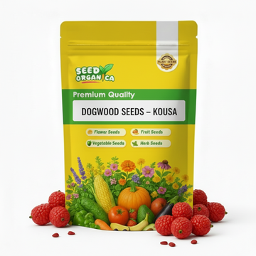 Dogwood Seeds – Kousa