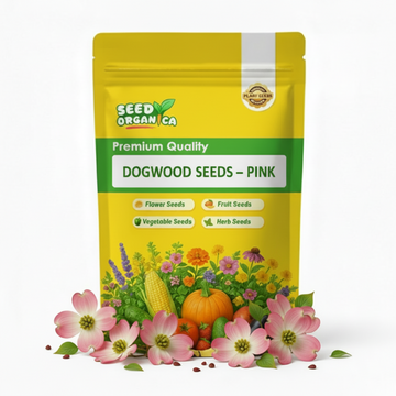 Dogwood Seeds – Pink