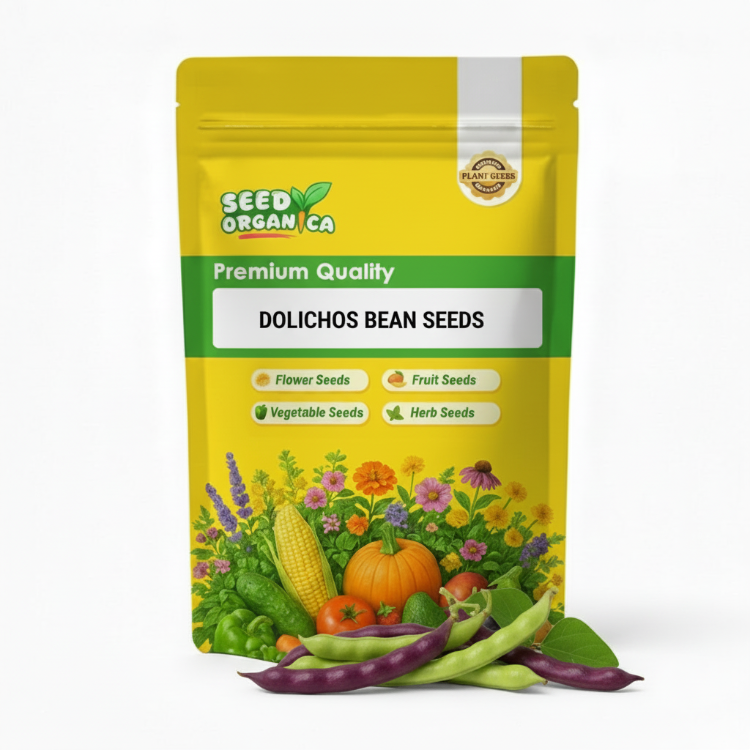Dolichos Bean Seeds