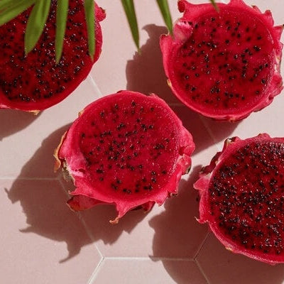 Dragon Seeds - Light Red