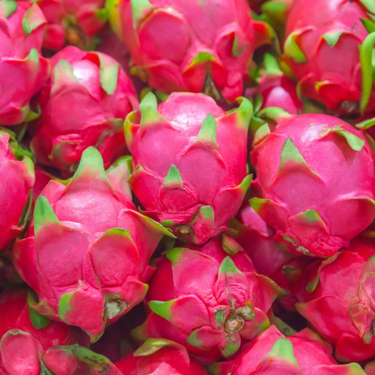 Dragon Seeds - lavender