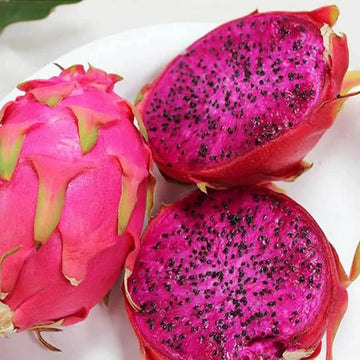 Dragon Fruit Seeds – Pink
