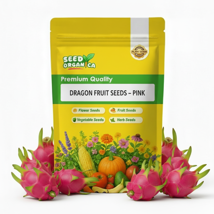 Dragon Fruit Seeds – Pink