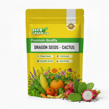 Dragon Seeds- Cactus