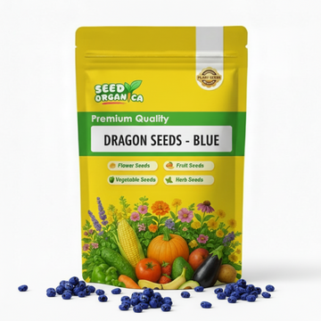 Dragon Seeds - Blue