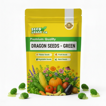 Dragon Seeds - Green