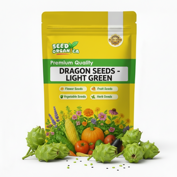 Dragon Seeds - Light Green