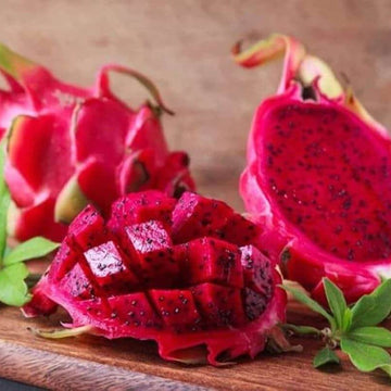 Dragon Seeds - Light Red