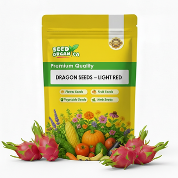 Dragon Seeds - Light Red