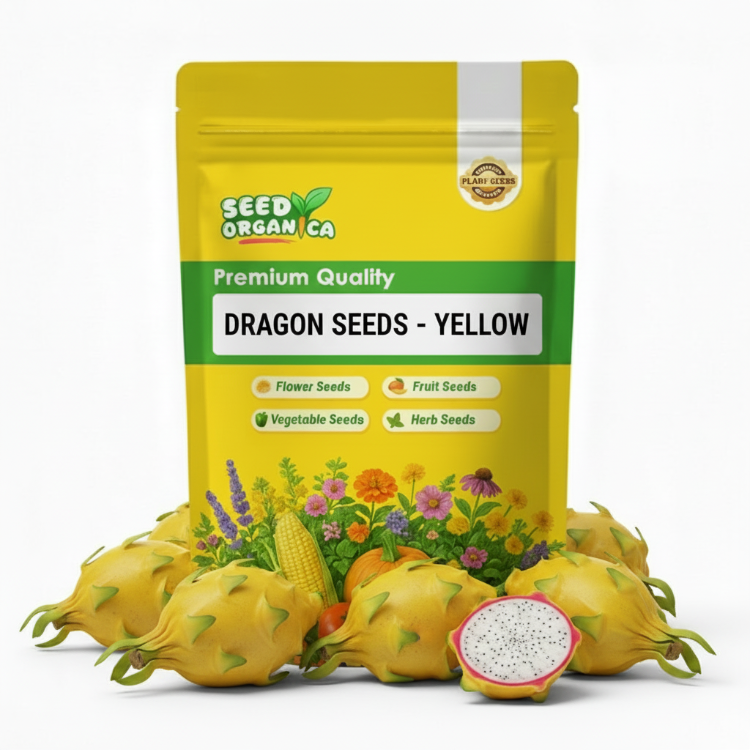 Dragon Seeds - Yellow