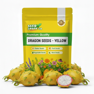 Dragon Seeds - Yellow