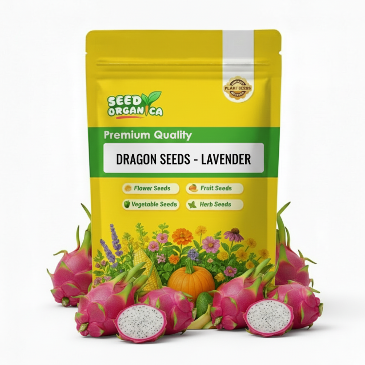 Dragon Seeds - lavender
