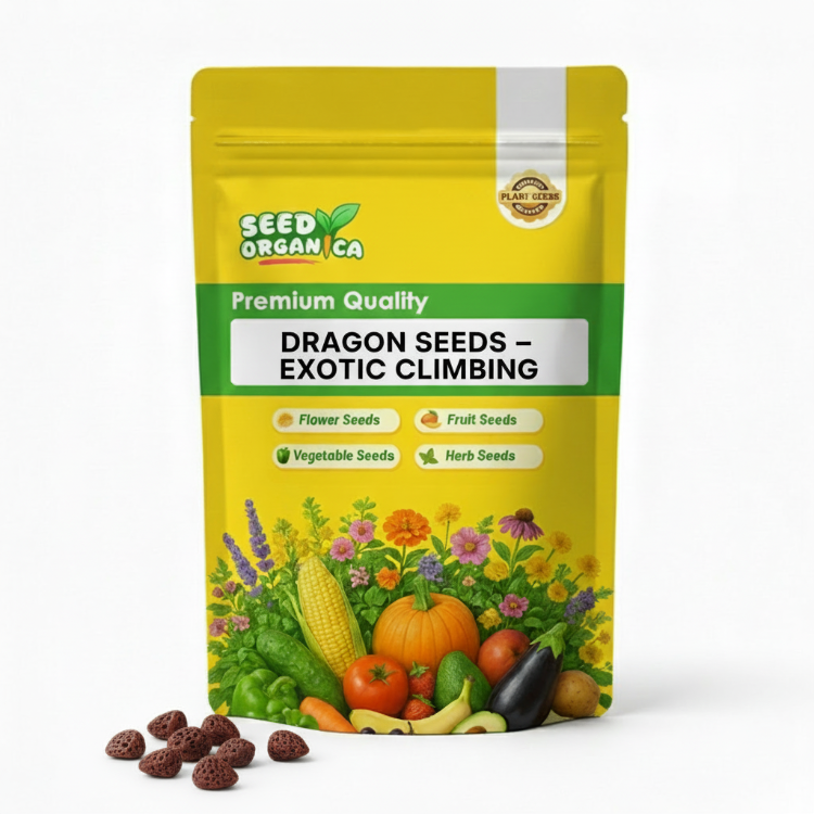 Dragon Seeds – Exotic Climbing