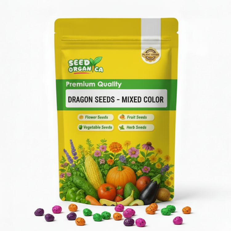 Dragon Seeds – Mixed Color