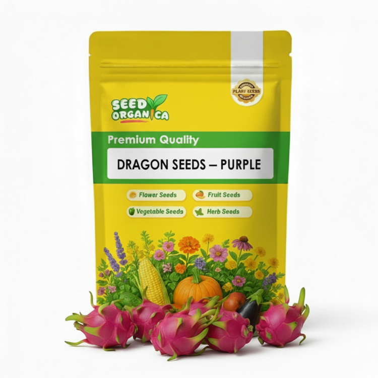 Dragon Seeds – Purple