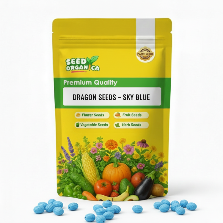 Dragon Seeds – Sky Blue
