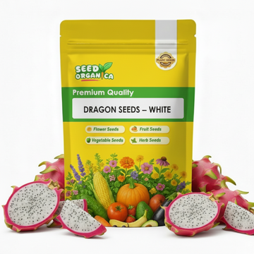 Dragon Seeds – White