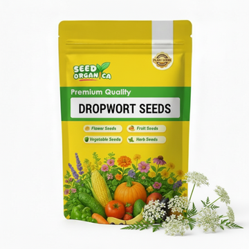 Dropwort Seeds