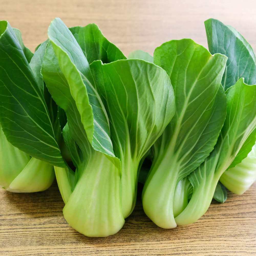 Dwarf Bok Choy Seeds - Vegetable Plant