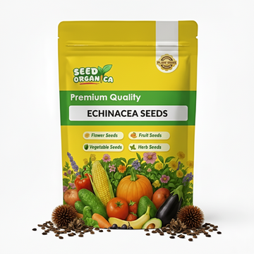 Echinacea Seeds