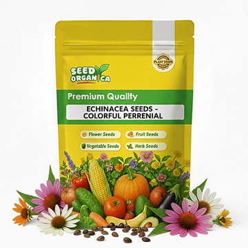 Echinacea Seeds - Colorful Perennial