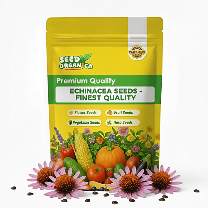Echinacea Seeds - Finest Quality