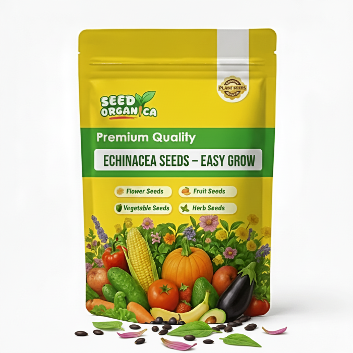 Echinacea Seeds – Easy Grow