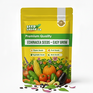 Echinacea Seeds – Easy Grow