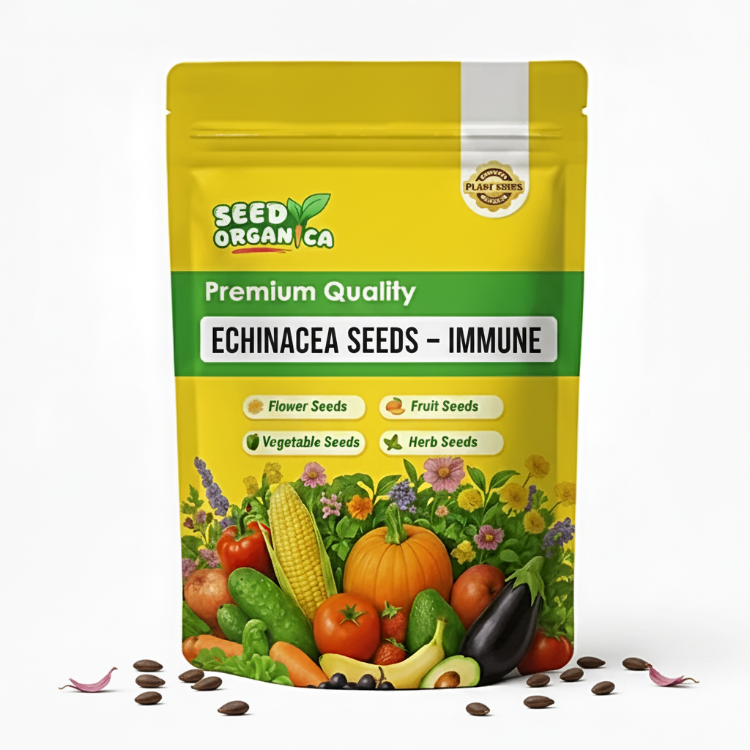Echinacea Seeds – Immune