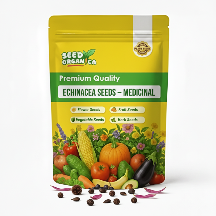 Echinacea Seeds – Medicinal