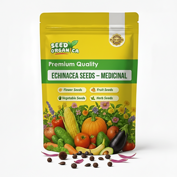 Echinacea Seeds – Medicinal