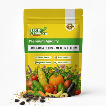 Echinacea Seeds – Meteor Yellow